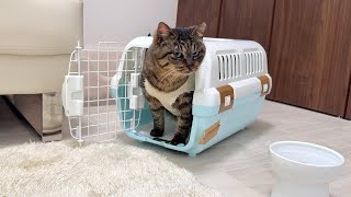 動画サムネイル