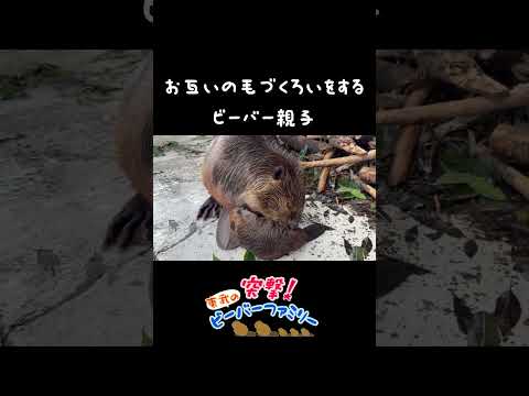 2025年7月28日最新の動きと注目ポイント サムネイル