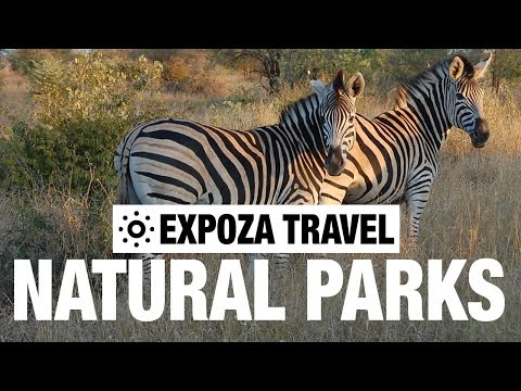 Natural Parks: The Beginning (Africa) Vacation Travel Video Guide - UC3o_gaqvLoPSRVMc2GmkDrg