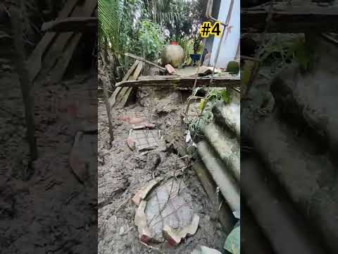 Quyết giữ mảnh đất quê Phần4! Just me and the rising water – I won’t let it take my land