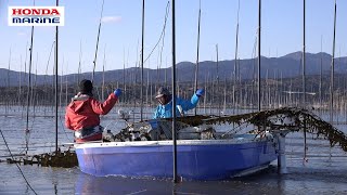 動画サムネイル