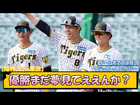 【阪神ファン集合】優勝まだ夢見てええんか？【なんJ/2ch/5ch/ネット 反応 まとめ/阪神タイガース/岡田監督】