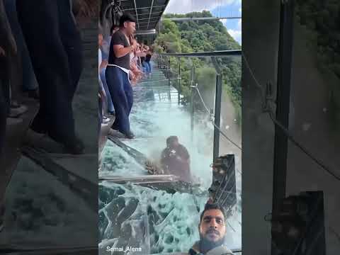 #lifeisbutadream #ihavethisthingwithplants