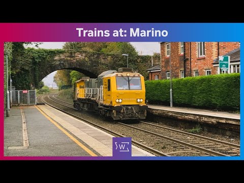 Trains at: Marino (05/11/21)