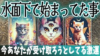 🌈水面下で始まってる事🌟今あなたが知っていく事とは？タロット占い🔮