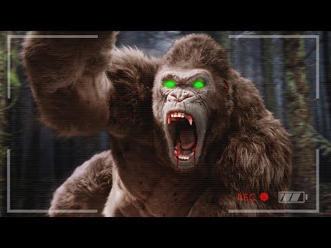 FINDING and HUNTING BIGFOOT! (Finding Bigfoot Game) - UC2wKfjlioOCLP4xQMOWNcgg