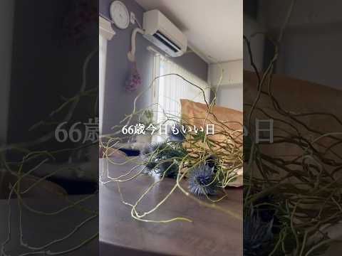 66歳花のある暮らし#枝物定期便#お家時間#暮らしを楽しむ