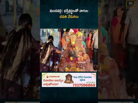 మండవల్లి: భక్తిశ్రద్ధలతో నాగుల చవితి వేడుకలు
