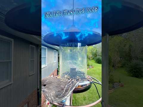 Tell me what just happened. #biology