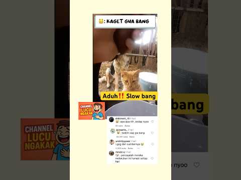 Ngakak Asli🤣 Pelan pelan bang🤤#shorts #kucinglucu