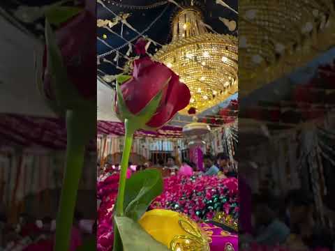 #ajmersharifdargah #viralvideos #subscribemychannel #alhumdulillah #mashallah ❤️💚❤️