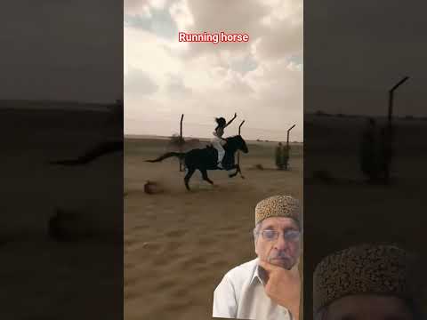 #automobile #horse #horseriding #music