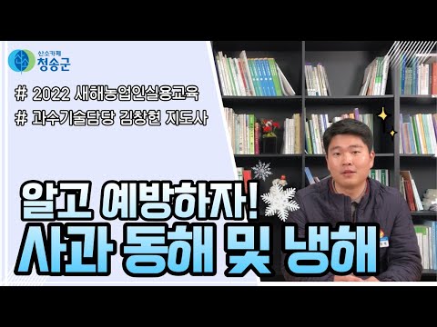 알고 예방하자! 사과 동해 및 냉해