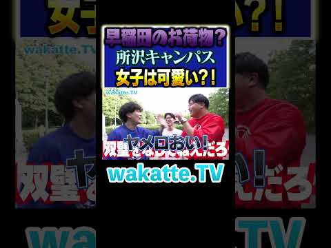 【搾りかす所沢...？】所沢はカップルができやすい？お荷物キャンパスの実態とは？#Shorts #早慶 #埼玉 #MARCH