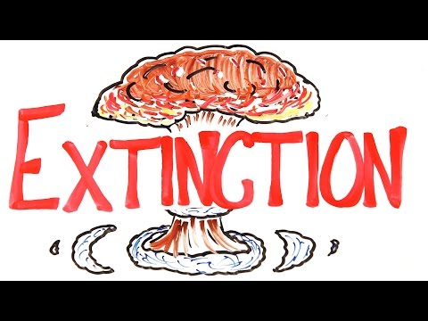 The 6 Craziest Extinctions Ever - UCC552Sd-3nyi_tk2BudLUzA