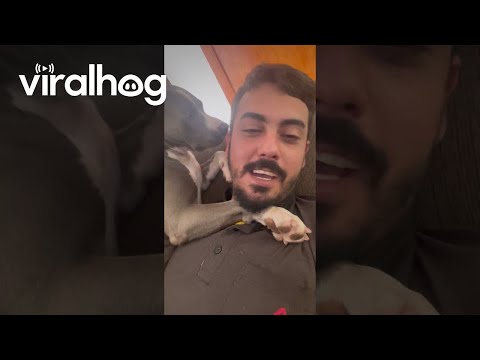 Affectionate Dog Cuddles Human Dad || ViralHog