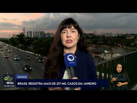 Brasil registrou mais de 217 mil casos de dengue em janeiro