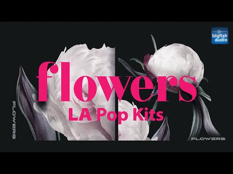 Flowers: LA Pop Kits | Demo Track