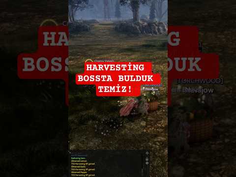 Rise Online, Toplaycılık, Harvesting Bossun başında kaşabalığız :D #riseonline #riseonlineworld