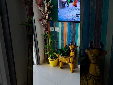 #shorts #homedecor #feelings #love