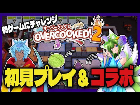 thumbnail_wkPpflyy--o