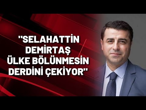 Mehmet Ali Kulat: Selahattin Demirtaş ülke bölünmesin derdini çekiyor