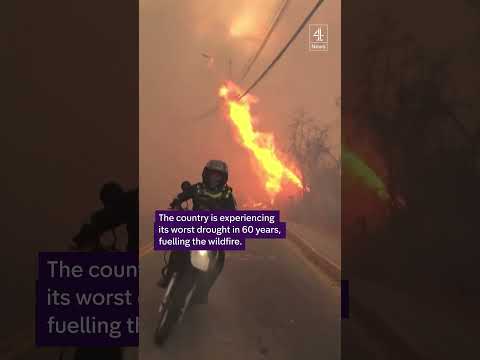Residents fight wildfire in Ecuador capital