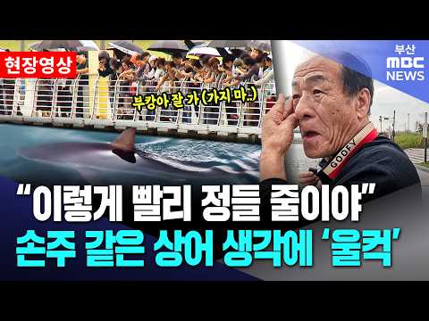 벌써 부캉이에게 정든 <strong>부산</strong> 사람들.. "<strong>손주</strong> 같아" | 현장영상