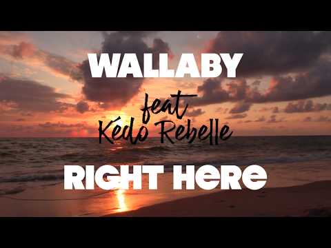 Wallaby - Right Here (ft. Kédo Rebelle) Lyric Video - UCouV5on9oauLTYF-gYhziIQ