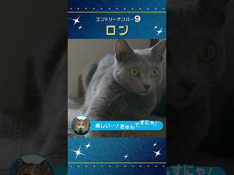 #にゃんプロ｜「ロン」総集編