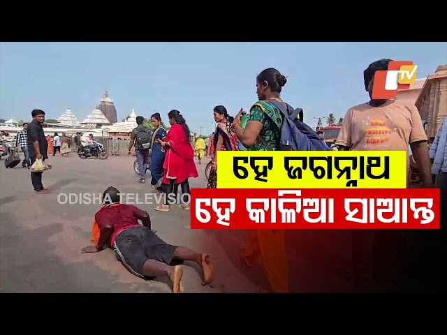 Devotees Perform Prostration Ritual on Bada Danda, Chanting "He Jagannath"