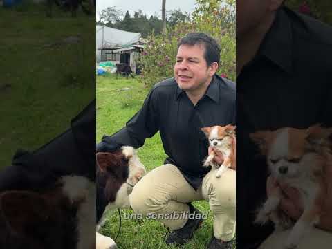 LA IMPORTANCIA DE LAS MASCOTAS