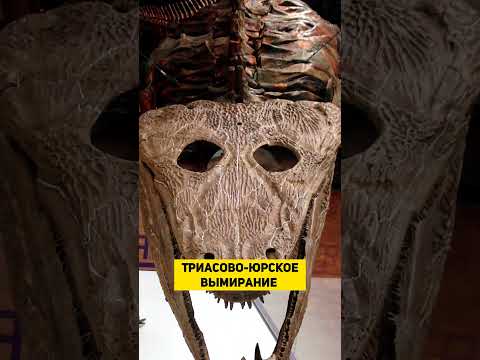 КРАТЕР МАНИКУАГАН | THE SPACEWAY