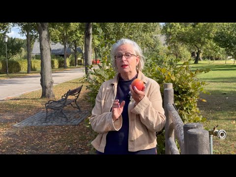 Dein Potsdam-Küchengeflüster: Herbstauszeit in der Russischen Kolonie Alexandrowka.