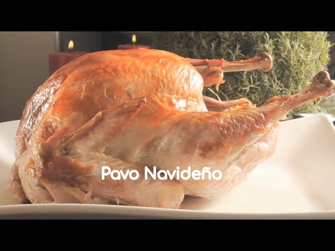 Pavo navideño - Christmas Turkey - UCvg_5WAbGznrT5qMZjaXFGA