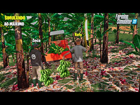 Vida de colono | Colhendo banana em Santa Catarina | Farming simulator 22