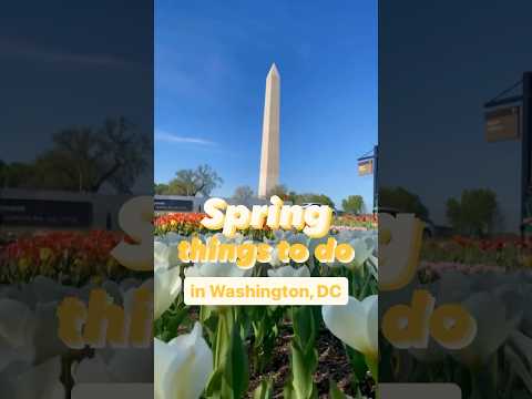 Save this as your ultimate guide to all things spring in
#WashingtonDC. 🌷✨