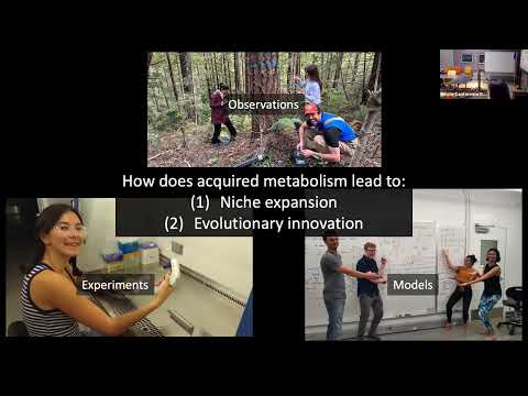 Trade, Borrow, or Steal: How Acquired Metabolism Drives Evolutionary Innovation