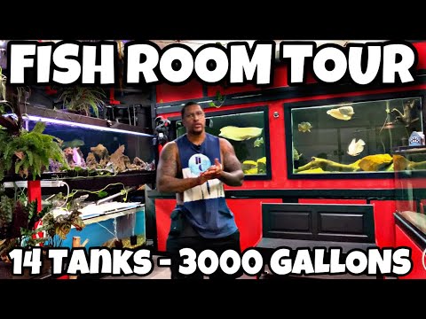 FISH ROOM TOUR! 3000 GALLONS FISH ROOM TOUR!

What’s up YouTube Fam! We have another video for you! This is a FISH ROOM TOUR! U