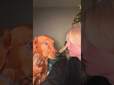 #pov #youtube  #fyp #fypシ #funny #foryoupage