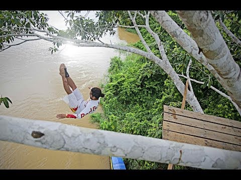 Treetop Dive Into The Amazon River - UCblfuW_4rakIf2h6aqANefA