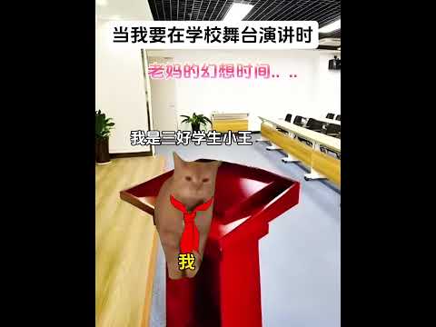 学校舞台で楽しむ猫のミームとユーモア劇場の魅力 サムネイル