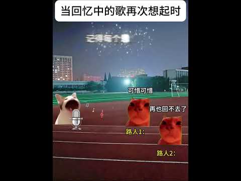 猫の面白ミーム＆楽しいストーリー：思い出に残る瞬間を共有 サムネイル