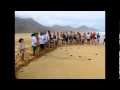 Uwalnianie żółwi na plaży Cofete
