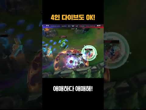 4인 다이브도 OK!