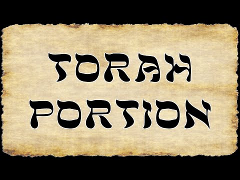 Torah Portion for 10/11/2025