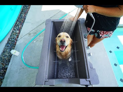 PUPPY LOVES HIS NEW CUSTOM DOG BATH - Super Cooper Sunday #157 - UC36MGPfPwOWafAXauiV4LdA