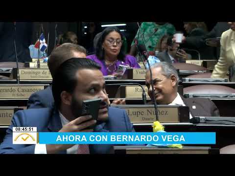 Bernardo Vega: ¿Por qué nuestros contribuyentes dan dinero para financiar a partidos políticos?