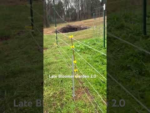 Too cold 🥶 to care! #garden #tennessee