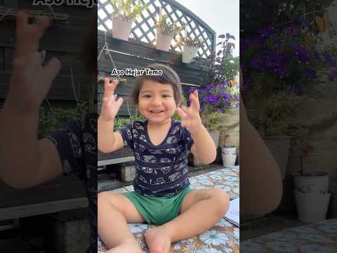 Dilê Yadê Aso Hejar Temo